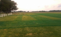 Initial Layout and Herbicide Applied - View of Taxiways