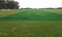 Initial Layout and Herbicide Applied - Down The Runway