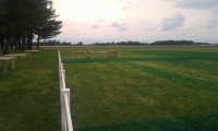 Initial Layout and Herbicide Applied - Angle View of Runway and Taxiways