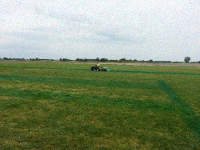 Initial Layout and Herbicide Applied - Filling In Runway and Taxiways