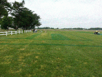 Initial Layout and Herbicide Applied - Filling In Taxiways